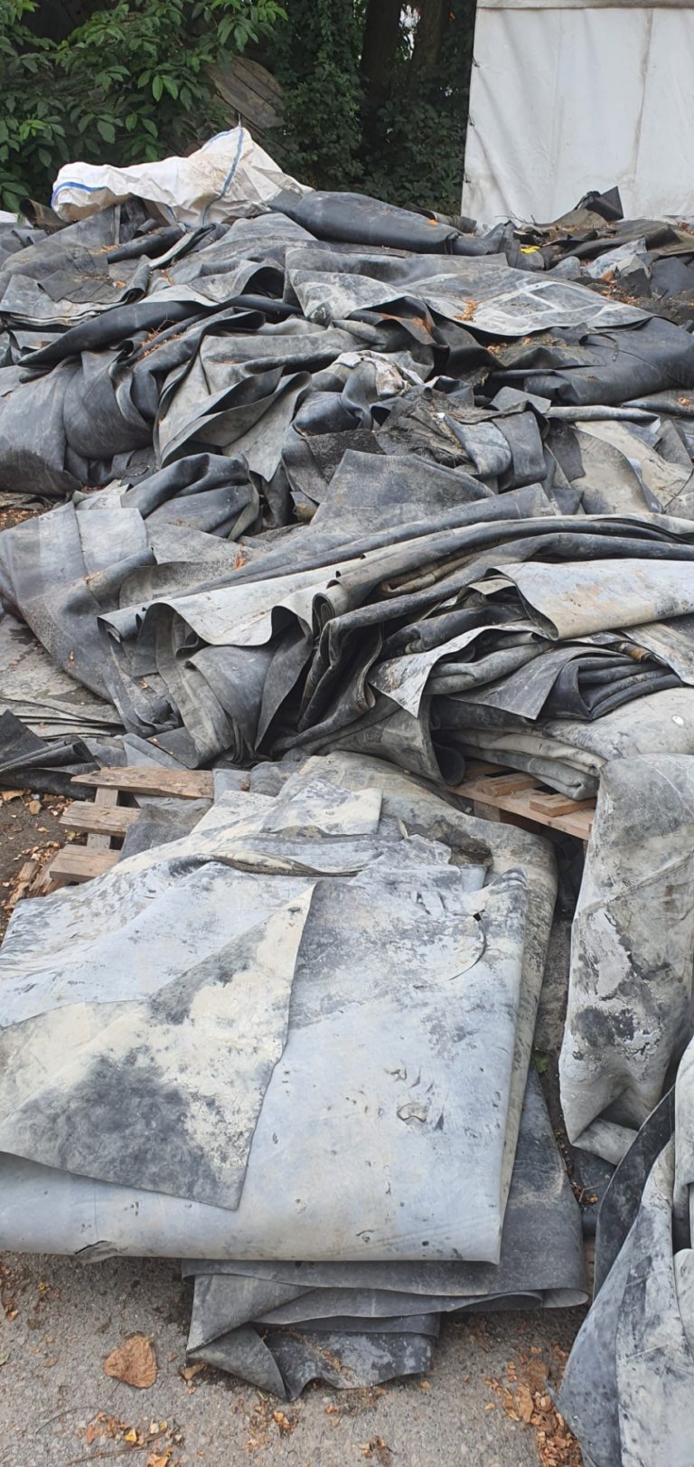 20240708 114631 768x1622