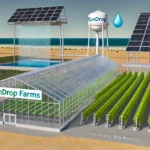 ilustracje przedstawiające nowoczesne technologie wykorzystywane w Sundrop Farms w Południowej Australii. Sceny podkreślają zastosowanie energii słonecznej, systemów odsalania wody oraz zaawansowanych szklarni do zrównoważonej uprawy roślin.