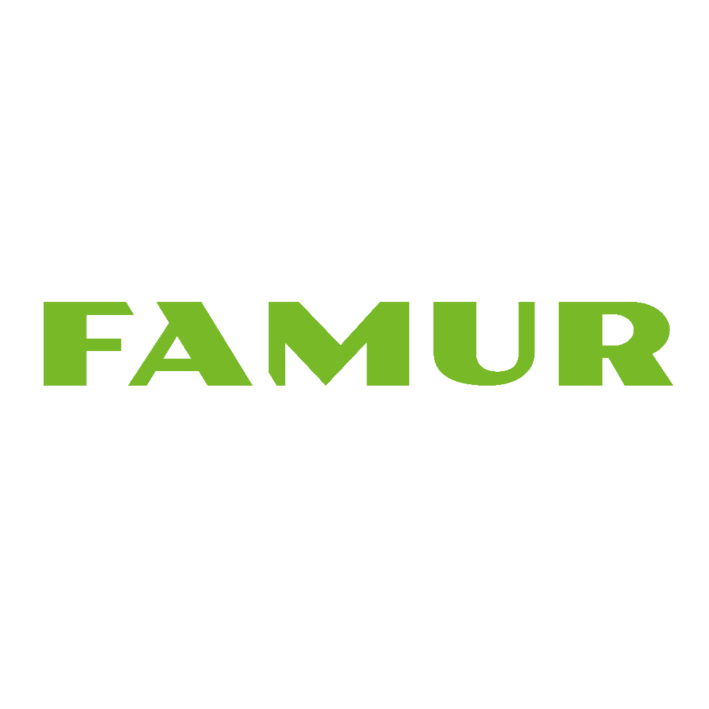 femure