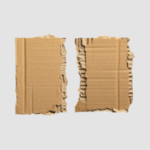 Gdzie wyrzucić odpady z papieru